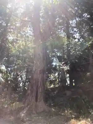 新溝神社のその他建物