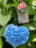 長慶寺(大阪府)