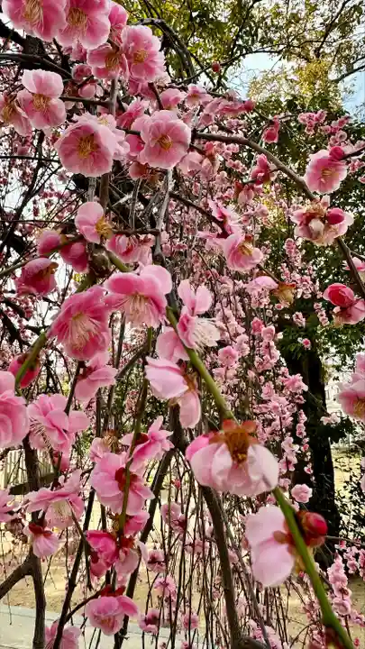 屯倉神社(大阪府)