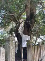 鈴森神社の建物その他