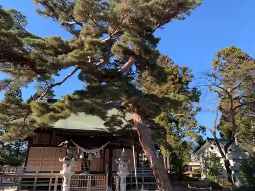 香久山神社の本殿・本堂