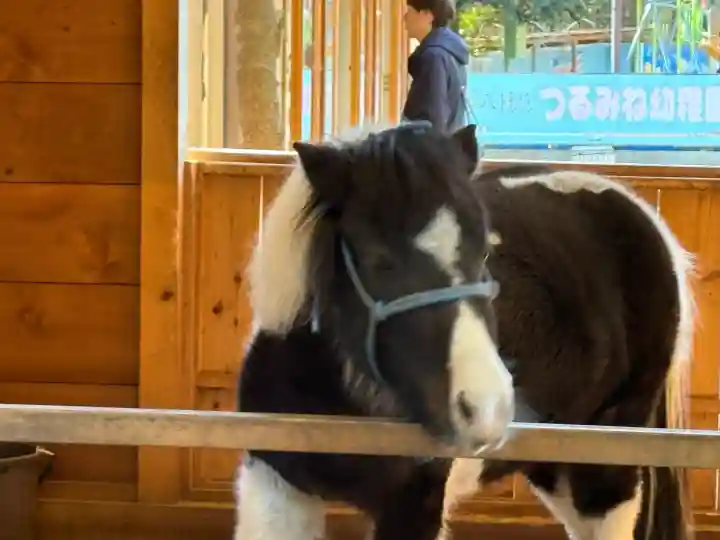 平塚八幡宮の{uncategorized: "未分類", other: "その他", undefined: "問題あり", building: "その他建物", grave: "お墓", sacred_gate: "鳥居", guardian: "狛犬", statue: "像", buddha: "仏像", history: "歴史", nature: "自然", garden: "庭園", animal: "動物", pagoda: "塔", temizu: "手水舎", mountain_gate: "山門・神門", sanctuary: "本殿・本堂", subordinate: "末社・摂社", art: "芸術", scenery: "景色", jizo: "地蔵", ema: "絵馬", goshuin: "御朱印", omikuji: "おみくじ", items: "授与品その他", amulet: "お守り", goshuincho: "御朱印帳", eats: "食事", festival: "お祭り", votive_dance: "神楽", shichigosan: "七五三参", wedding: "結婚式", experience: "体験その他", initially: "初詣", around: "周辺", anti_infection: "感染症対策"}