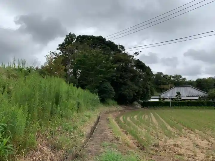 音羽稲荷大明神の周辺