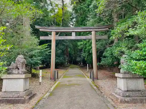 若狭彦神社（上社）の鳥居