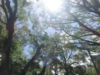 意富比神社(千葉県)