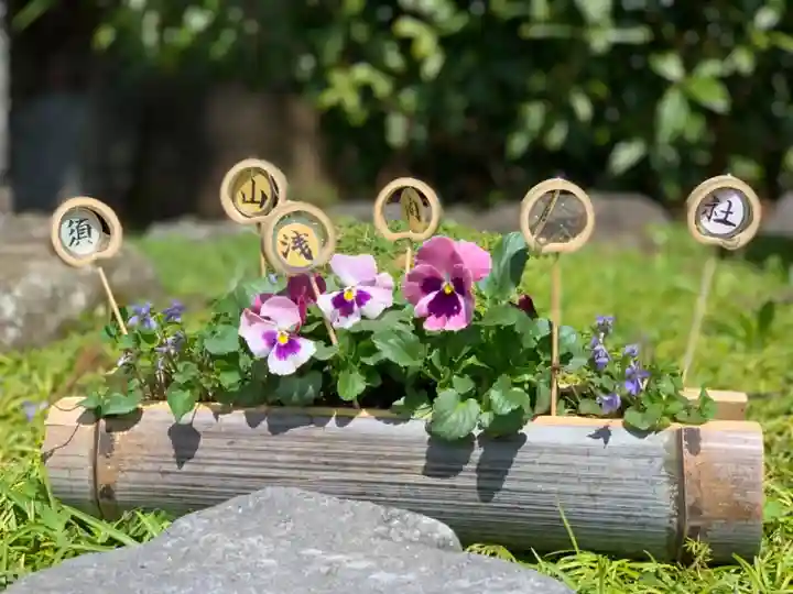 須山浅間神社の庭園