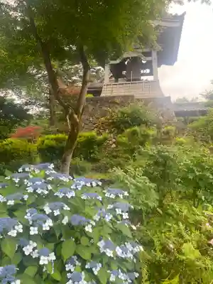 隆国寺(兵庫県)