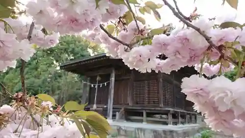 日光鹿島神社の本殿