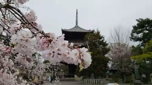 道成寺の自然