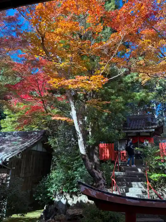 柳谷観音 楊谷寺(京都府)