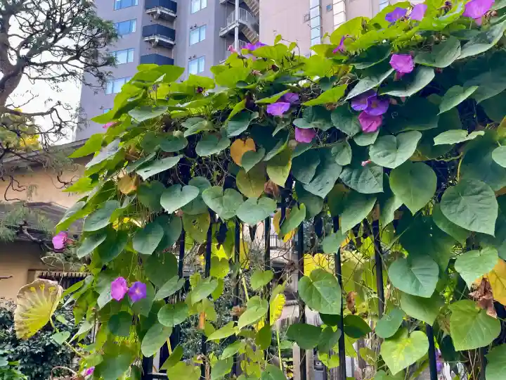 成覚寺(東京都)