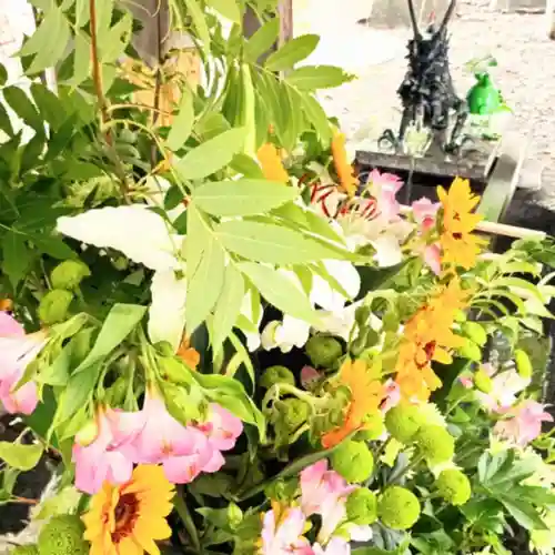 彌彦神社　(伊夜日子神社)(北海道)