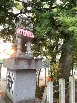 両社宮神社(宮町)の狛犬
