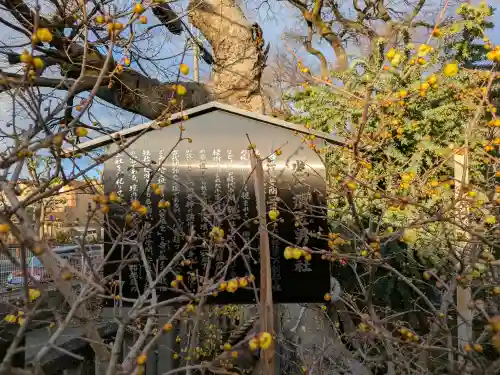 水堂須佐男神社の{uncategorized: "未分類", other: "その他", undefined: "問題あり", building: "その他建物", grave: "お墓", sacred_gate: "鳥居", guardian: "狛犬", statue: "像", buddha: "仏像", history: "歴史", nature: "自然", garden: "庭園", animal: "動物", pagoda: "塔", temizu: "手水舎", mountain_gate: "山門・神門", sanctuary: "本殿・本堂", subordinate: "末社・摂社", art: "芸術", scenery: "景色", jizo: "地蔵", ema: "絵馬", goshuin: "御朱印", omikuji: "おみくじ", items: "授与品その他", amulet: "お守り", goshuincho: "御朱印帳", eats: "食事", festival: "お祭り", votive_dance: "神楽", shichigosan: "七五三参", wedding: "結婚式", experience: "体験その他", initially: "初詣", around: "周辺", anti_infection: "感染症対策"}