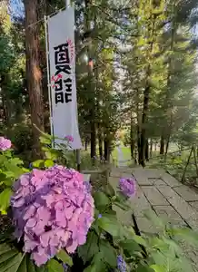 蚊里田八幡宮(長野県)(2025年07月12日(土) 18時30分49秒投稿)