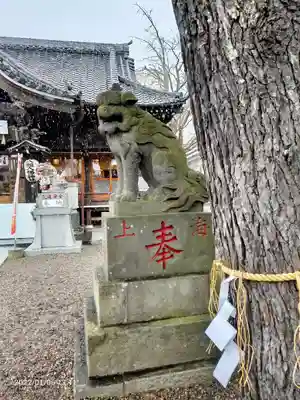八剱八幡神社の狛犬