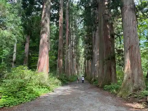 戸隠神社奥社(長野県)