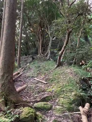 山王神社の自然