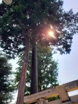 菅原神社(東京都)