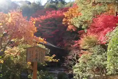 二尊院(京都府)