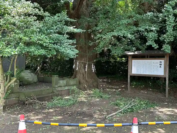 鎌数伊勢大神宮(千葉県)