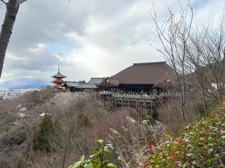 清水寺の{uncategorized: "未分類", other: "その他", undefined: "問題あり", building: "その他建物", grave: "お墓", sacred_gate: "鳥居", guardian: "狛犬", statue: "像", buddha: "仏像", history: "歴史", nature: "自然", garden: "庭園", animal: "動物", pagoda: "塔", temizu: "手水舎", mountain_gate: "山門・神門", sanctuary: "本殿・本堂", subordinate: "末社・摂社", art: "芸術", scenery: "景色", jizo: "地蔵", ema: "絵馬", goshuin: "御朱印", omikuji: "おみくじ", items: "授与品その他", amulet: "お守り", goshuincho: "御朱印帳", eats: "食事", festival: "お祭り", votive_dance: "神楽", shichigosan: "七五三参", wedding: "結婚式", experience: "体験その他", initially: "初詣", around: "周辺", anti_infection: "感染症対策"}