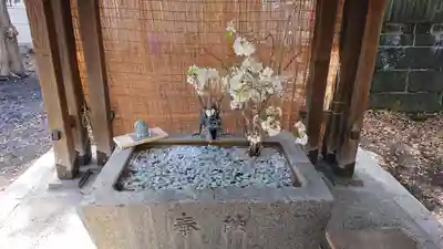 札幌諏訪神社の手水舎