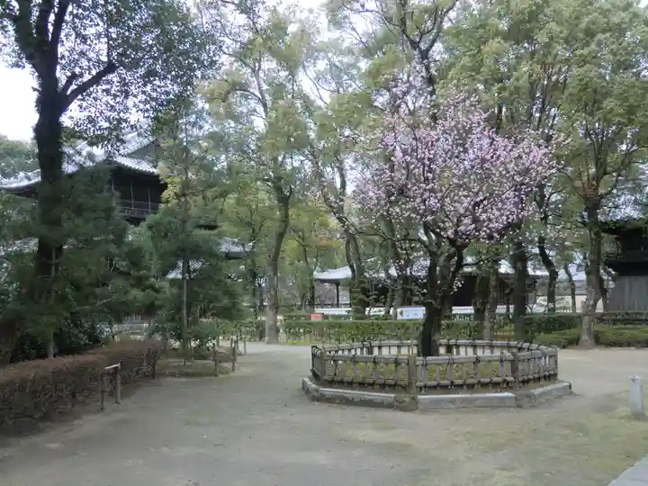 聖福寺(福岡県)