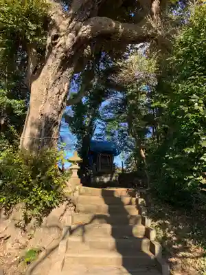 大宮神社(千葉県)