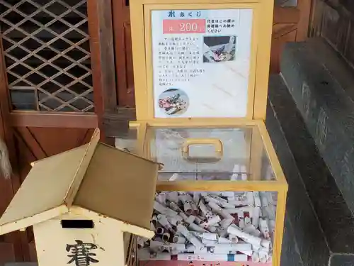 六孫王神社のおみくじ