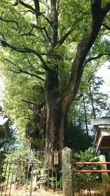 神崎神社(千葉県)