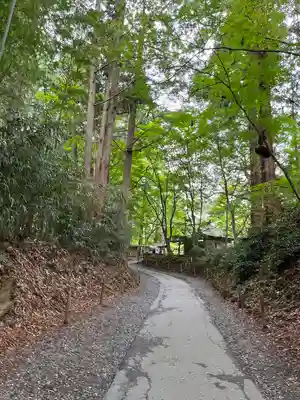 中尊寺(岩手県)