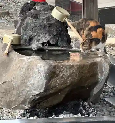 大久保山 自性院(神奈川県)