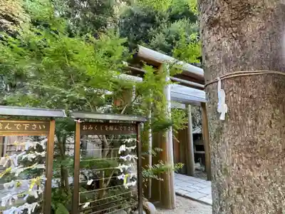 銭洗弁財天宇賀福神社(神奈川県)