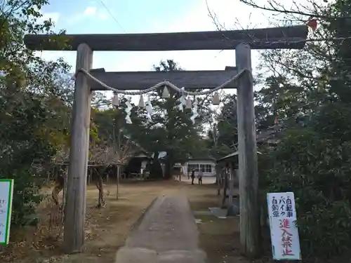 鎌数伊勢大神宮の鳥居