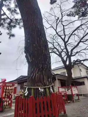 鴻神社(埼玉県)