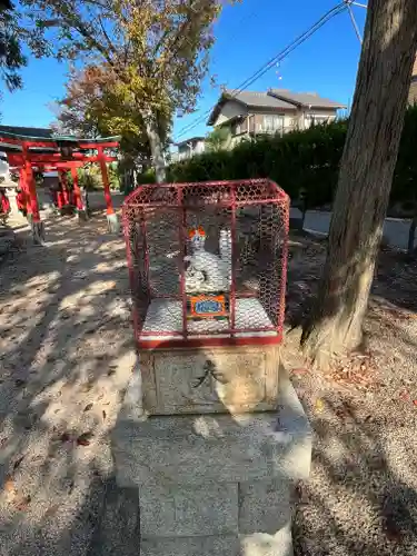 神田神社の狛犬