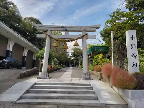 小動神社の鳥居