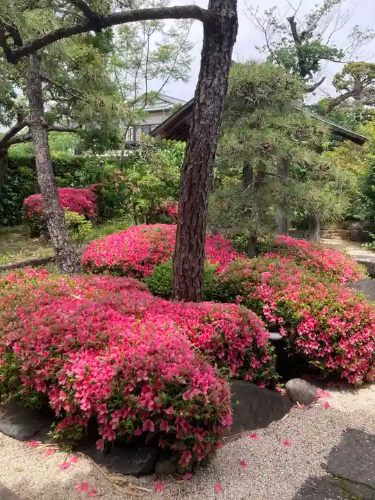 蓮花寺(東京都)