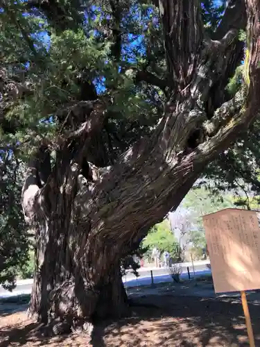 建長寺(神奈川県)