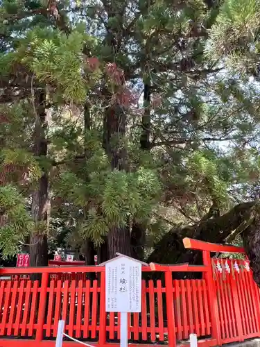 香椎宮(福岡県)