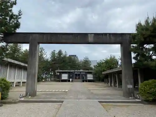 福井神社の鳥居