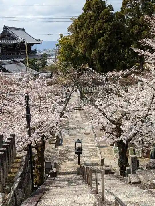 くろ谷 金戒光明寺(京都府)