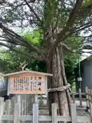 湯倉神社の自然