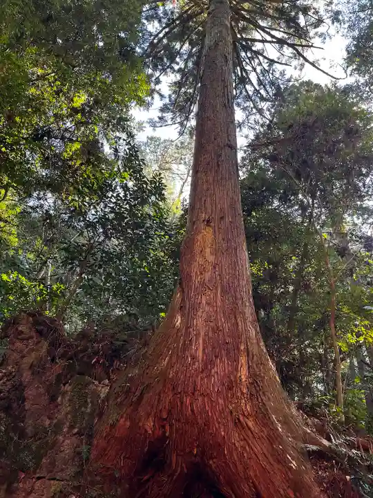 目の霊山 油山寺(静岡県)