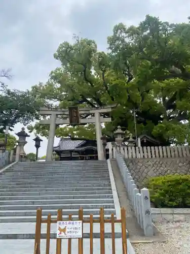 百舌鳥八幡宮(大阪府)