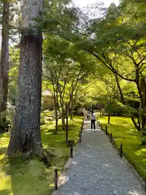 三千院門跡(京都府)