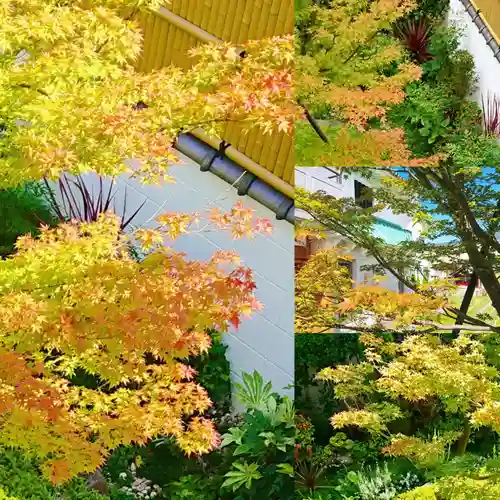 寿量山　速成寺の自然