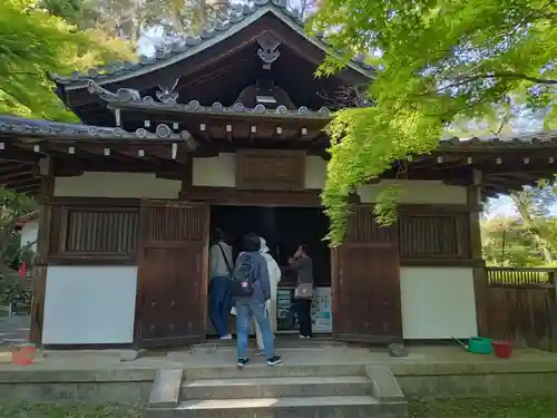 園城寺（三井寺）(滋賀県)