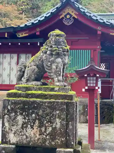 箱根神社の狛犬